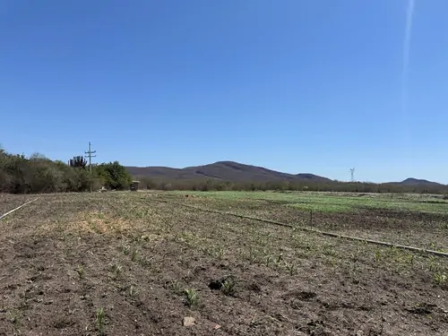 Propiedad rural de 82 hectáreas en Coyotitán, Sinaloa