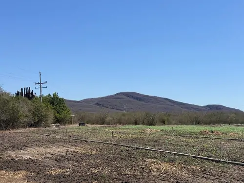 Propiedad rural de 82 hectáreas en Coyotitán, Sinaloa